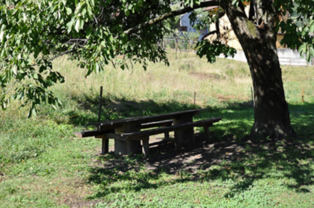 Slider_semilles_ (12)