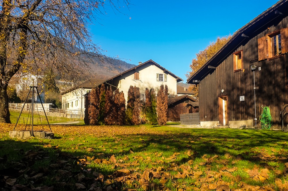 Slider_semilles_ (4)